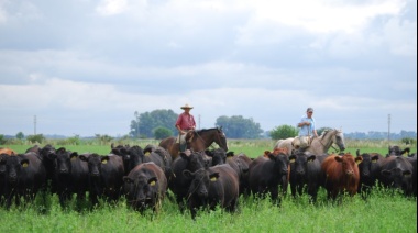 Pastoreo rotativo: un incremento de renta para la agricultura familiar en la Amazonía