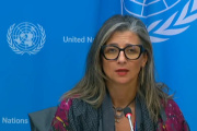 La ONU urge a Estados Unidos a revocar las sanciones contra la relatora sobre los territorios palestinos