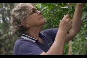 Documental sobre la dictadura llega este domingo a Villarrica
