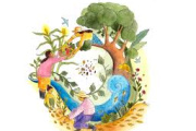 Economía social solidaria en Costa Rica