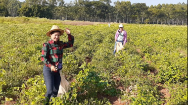 Mujeres rurales: sostén de la alimentación y la resistencia frente al agronegocio