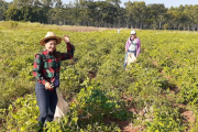 Mujeres rurales: sostén de la alimentación y la resistencia frente al agronegocio