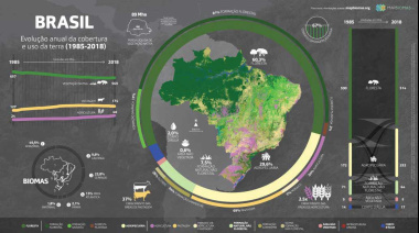 MapBiomas: Una década de ciencia colaborativa para decidir diferente