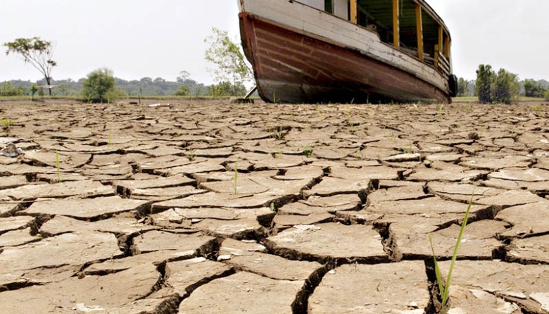 El cambio climático, principal causante de la sequía de la Amazonía