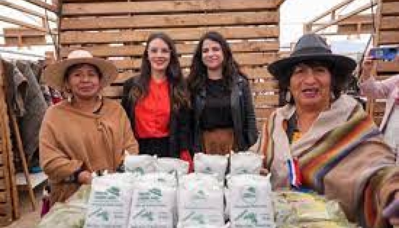 Conectando negocios: una plataforma que vincula los emprendimientos de mujeres indígenas con nuevos mercados
