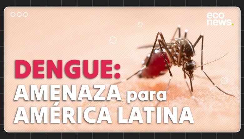 Las raíces climáticas del repunte de dengue en América
