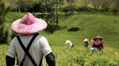 El auge del biogás en Egipto: una solución sostenible para agricultores y hogares