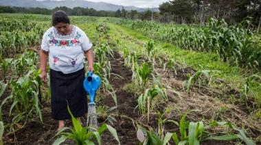 Eventos climáticos pueden afectar la seguridad alimentaria de al menos 20 países en América Latina y el Caribe