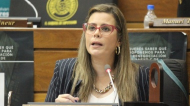 Denuncia y críticas tras mutilación de ley de conflicto de intereses