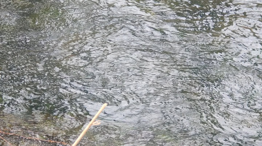 La guerra invisible por el agua, del Nilo al Amazonas