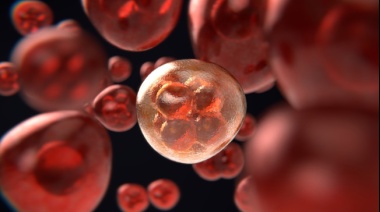 Día Mundial contra el Cáncer