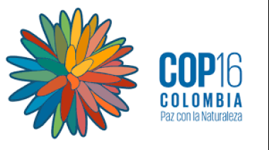 Pueblos indígenas de nueve naciones instan a la COP16 mirar hacia la Amazonia