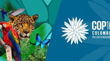 COP16 | Día 1 - Poner un pie en Cali