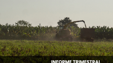 Observatorio de DDHH y Ambientales – Informe Trimestral Junio – Agosto