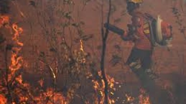 Incendios de este año en Brasil afectaron directamente a 18,9 millones de personas
