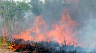 Incendios forestales consumieron casi 11.000 hectáreas en la primera semana del año