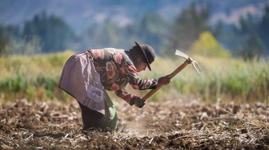 CEPAL, FAO y WFP lanzan informe: "Hacia una seguridad alimentaria y nutricional sostenible en América Latina y el Caribe en respuesta a la crisis alimentaria mundial".