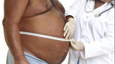 Identifican proteína clave para quemar la grasa y proteger al cuerpo contra la obesidad