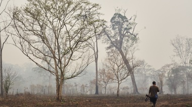 Incendios forestales devastan comunidades indígenas en Bolivia