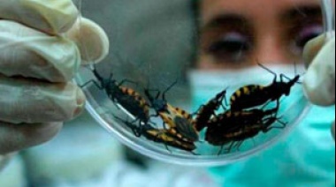 Día Mundial de la Enfermedad de Chagas
