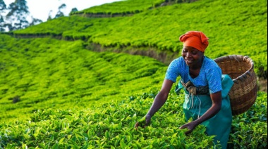 Las mujeres africanas impulsan la innovación y la creatividad en la agroindustria