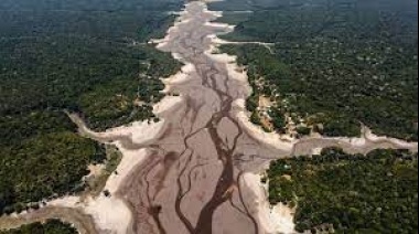 Hasta la mitad de la Amazonia está en riesgo de desaparecer en 2050