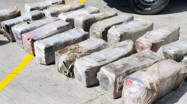 El narcotráfico deforesta el Amazonas