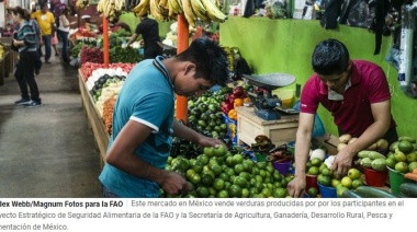 La urgencia de transformar los sistemas alimentarios ante la emergencia climática y de biodiversidad