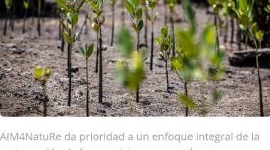 La FAO presenta iniciativa para mejorar el monitoreo de la restauración de los ecosistemas