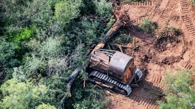 Argentina pierde 7,6 millones de hectáreas de vegetación natural en 25 años