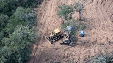 Se perdieron 150 mil hectáreas de bosques en el norte argentino en 2024, un 10% más que el año anterior