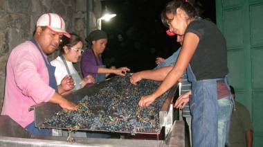 La primera bodega indígena de Latinoamérica está en Amaicha del Valle
