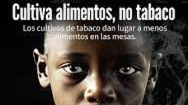 Cultiva Alimentos No Tabaco