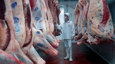 Ganaderos estadounidenses se oponen al ingreso de carne paraguaya
