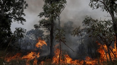 Incendios forestales en la Amazonía y Pantanal: un desafío ambiental con soluciones tecnológicas