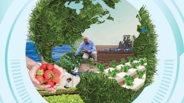 Tres iniciativas de éxito que están transformando la agricultura en Centroamérica
