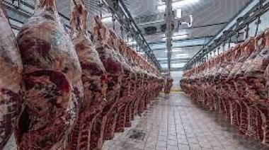 Ganaderos temen perder mercado de EEUU y acceder solo a destinos marginales
