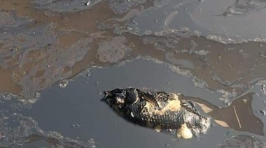 Derrame de hidrocarburos en Veracruz no es atendido