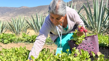 Gestión comunitaria del agua en Oaxaca: la lucha de Asunción por el acceso hídrico