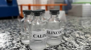 CIENCIA Y TECNOLOGÍA Brasil | Científicos trabajan en una vacuna para inhibir los efectos de la cocaína y el crack
