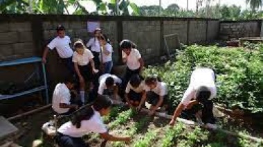 En una escuela urbana producen hortalizas para comedor de niños