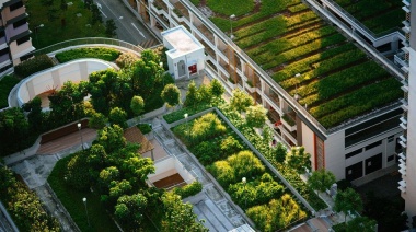 La naturaleza, clave en las infraestructuras para el desarrollo sostenible