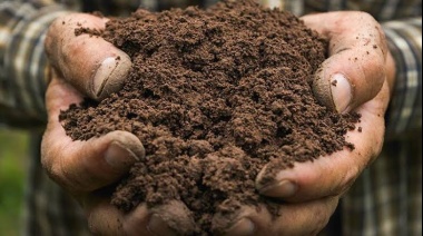 Siete formas de restaurar la tierra