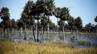 El Niño ya llegó. ¿Qué podemos esperar en Paraguay?
