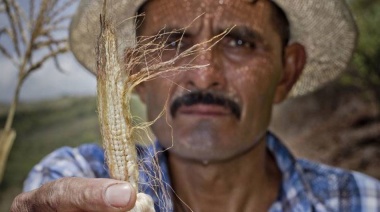 Arranca un Plan para hacer frente a El Niño en América Latina