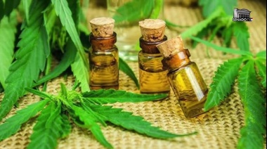 Analizaron proyectos de ley de regulación del cannabis