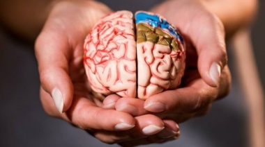 Los problemas del cerebro y su vínculo económico