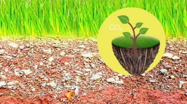 En Ecuador, se crea el Mapa Nacional de Carbono Orgánico en Suelo para promover la conservación