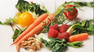 Día Internacional de la Sanidad Vegetal