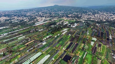 Los “chinamperos” han abastecido de alimentos a Ciudad de México durante generaciones, ¿tienen futuro?